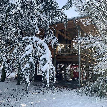 Gite Pont-A-Mousson, La Pepiniere Pagode Asiatique Villa Kültér fotó