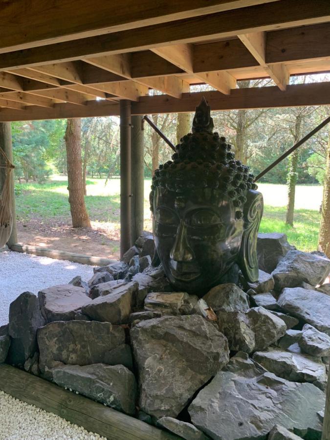 Gite Pont-A-Mousson, La Pepiniere Pagode Asiatique Kültér fotó